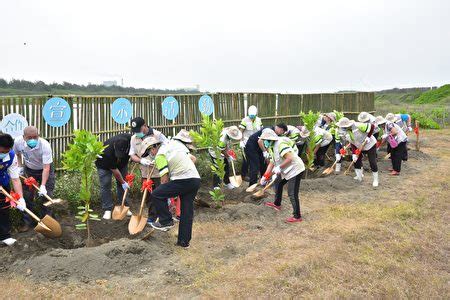 樹木淨化空氣|樹木淨化空氣 如何在適宜地點及時間正確種樹 